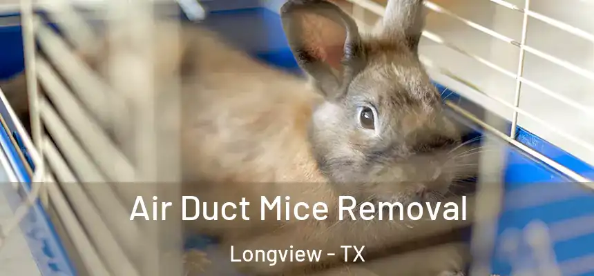 Air Duct Mice Removal Longview - TX