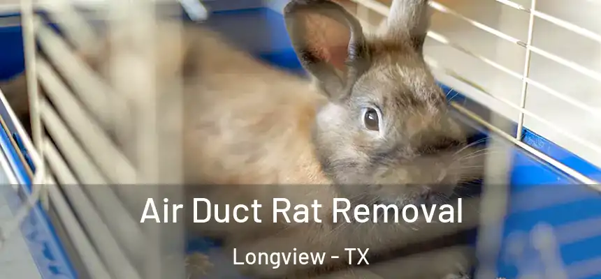 Air Duct Rat Removal Longview - TX