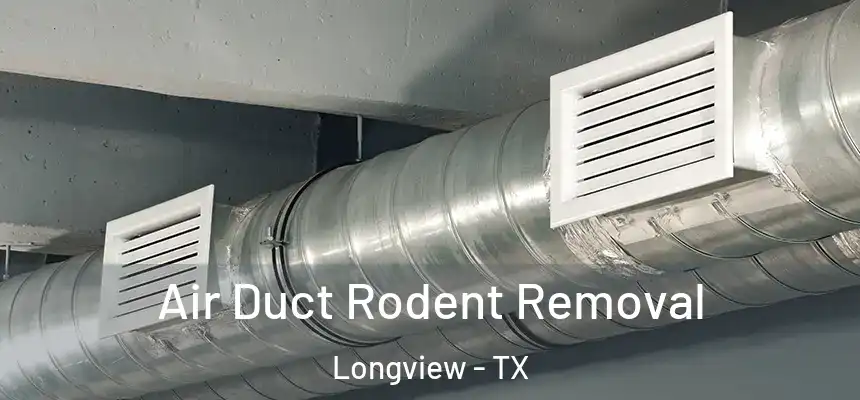 Air Duct Rodent Removal Longview - TX
