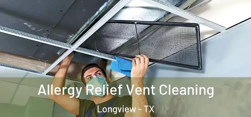 Allergy Relief Vent Cleaning Longview - TX