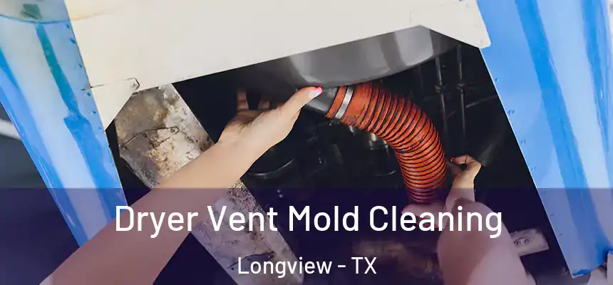 Dryer Vent Mold Cleaning Longview - TX