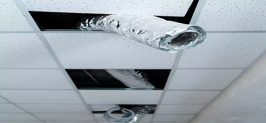 Our Air Duct Pet Hair Removal Services in Longview, TX