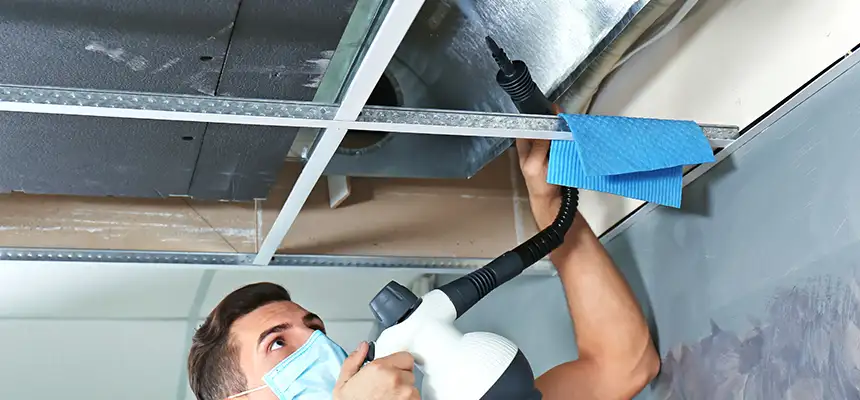 Our Air Duct Rodent Removal Services in Longview, TX