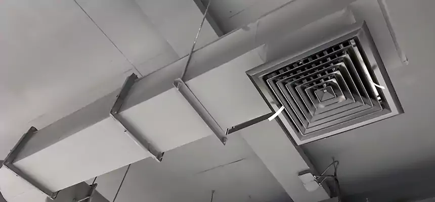 Our Pest Removal From Ducts Services in Longview, TX