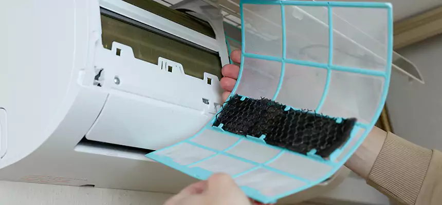 Gentle Ductwork Odor-Control Pet Dander Duct Cleaning in Longview, TX