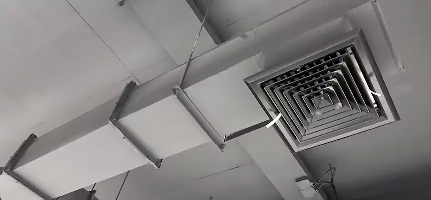 Our Rodent Droppings In Vents Services in Longview, TX