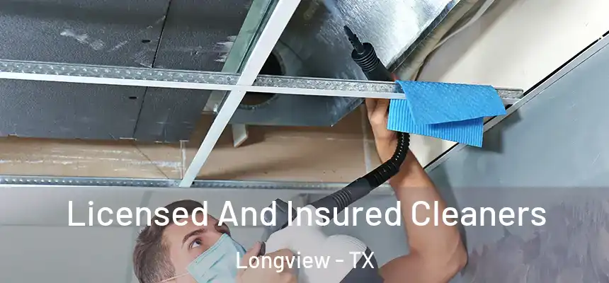 Licensed And Insured Cleaners Longview - TX