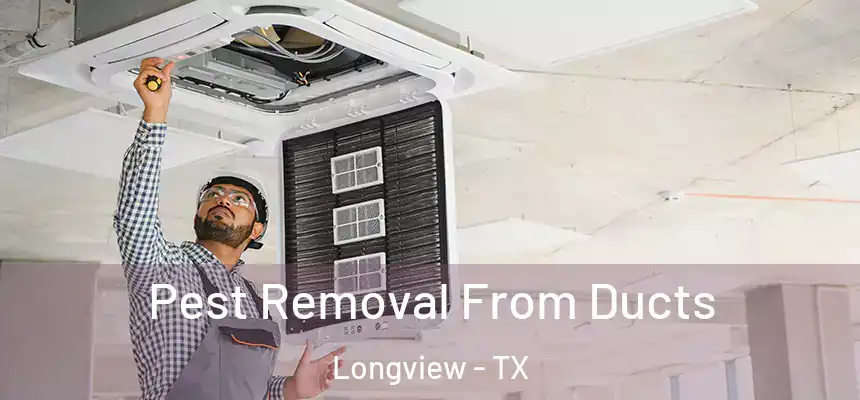 Pest Removal From Ducts Longview - TX