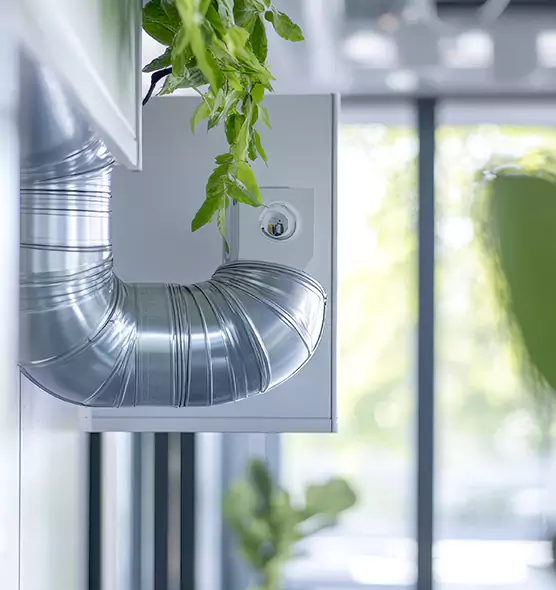 Professional Eco-Safe Dryer Vent Cleaning in Longview, TX