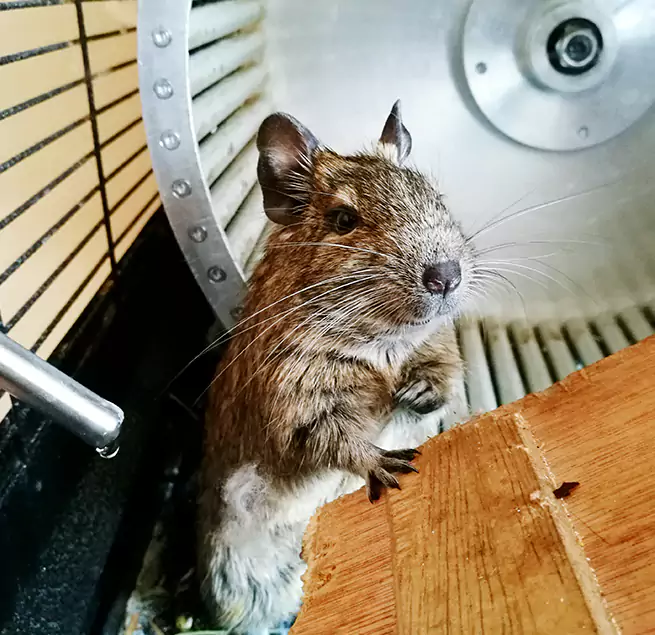 Why Homeowners & Businesses Trust Us Longview, TX?