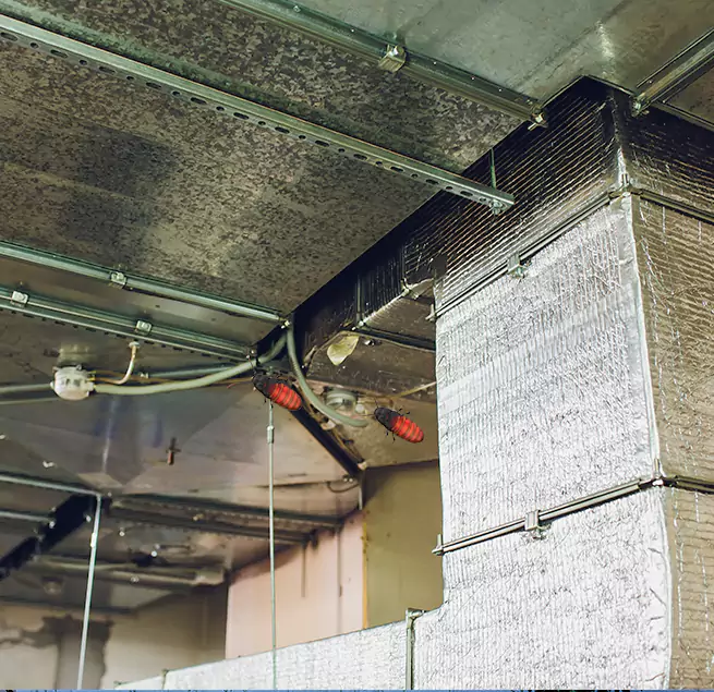 Why Homeowners & Businesses Trust Us Longview, TX?